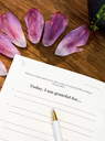 THE GRATITUDE LIST notebook amethyst