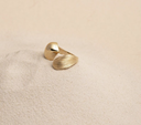 SP ring goud
